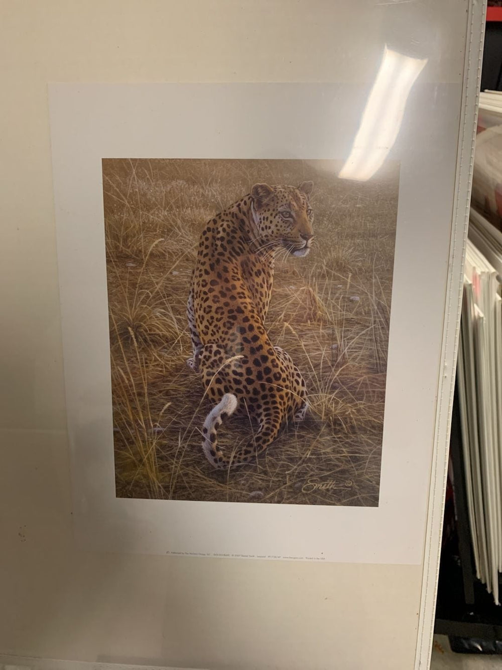 Daniel Smith Leopard Framed Art Print