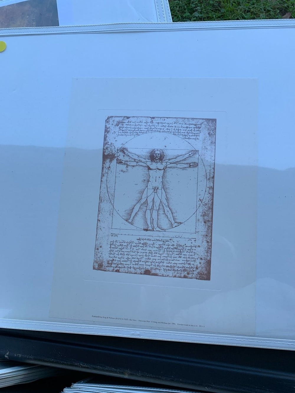 Leonardo da Vinci Vitruvian Man Vintage Art Print