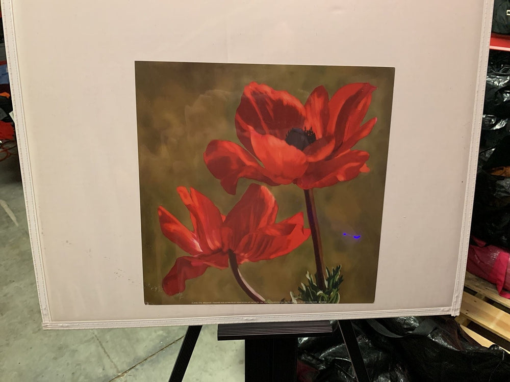 Janel Pahl Brilliance Red Poppy Floral Art Print