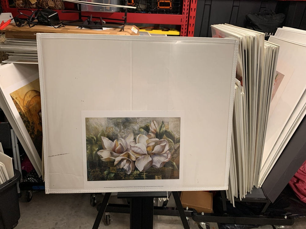 Dawning Magnolias