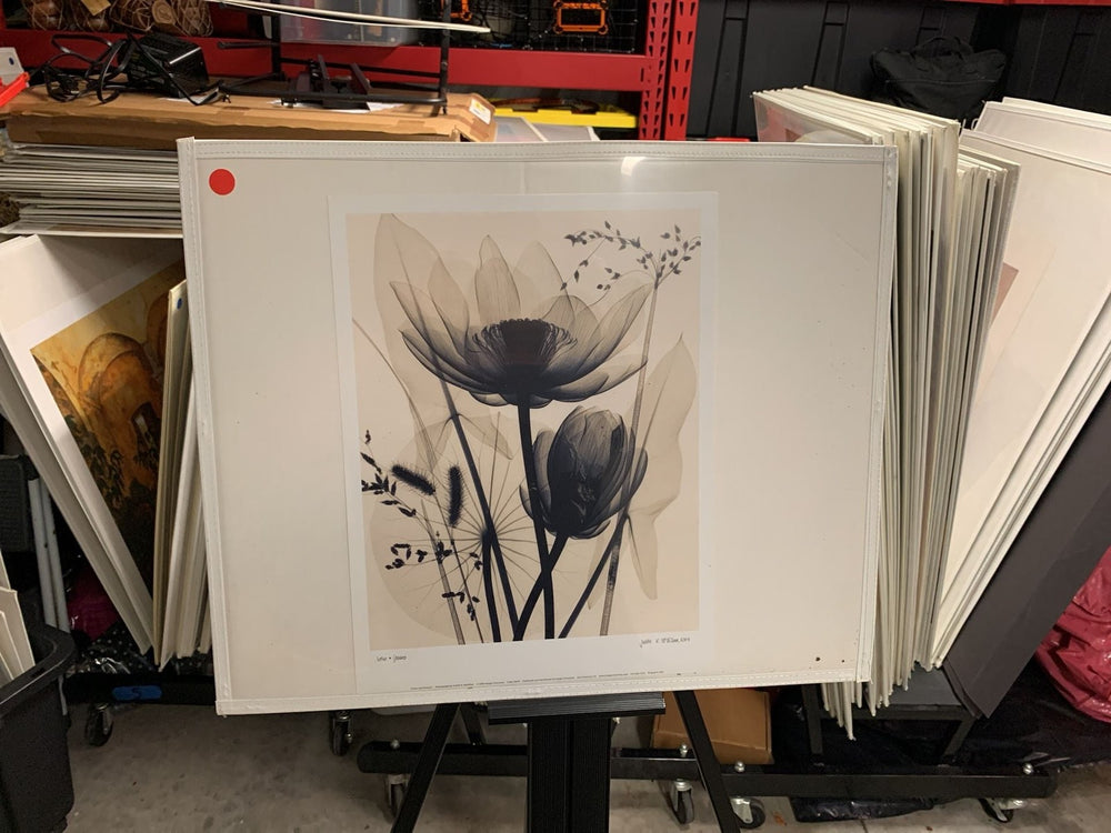 Lotus and Grasses