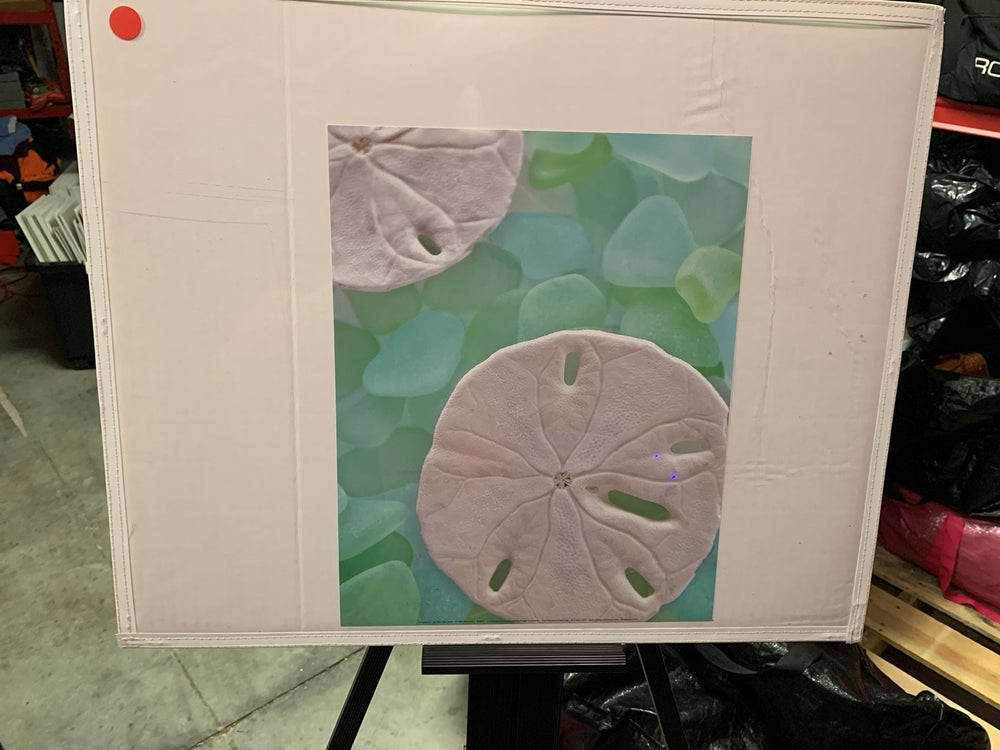 Sea Glass and Sand Dollar