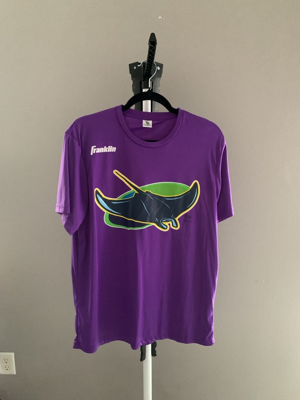 Franklin Tampa Bay Devil Rays Vintage Logo Performance T-Shirt Purple